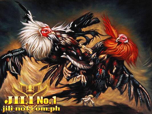 cockfighting jilino1 blog 88