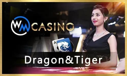 jilino1 live dragon tiger casino