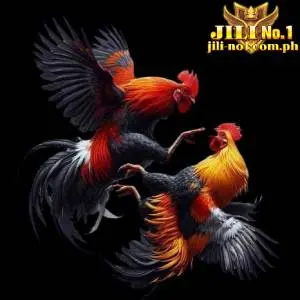 cockfighting today jilino1 avatar